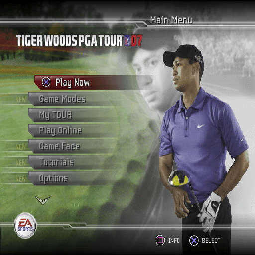 Tiger Woods PGA Tour 2007 (PlayStation 2)