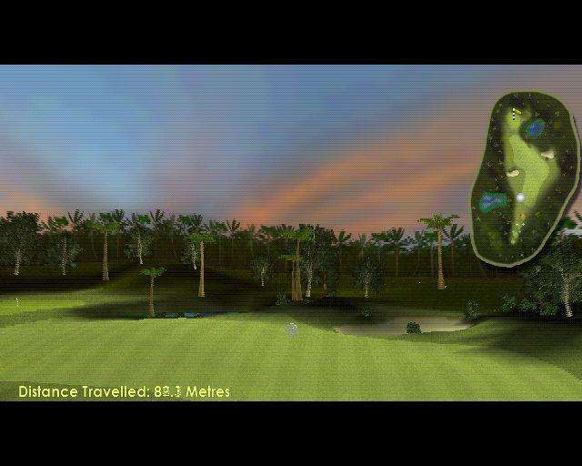 International Golf Pro (PlayStation 2)