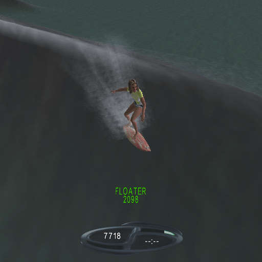 Sunny Garcia Surfing (PlayStation 2)
