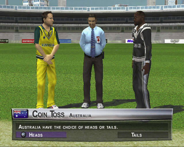 Brian Lara International Cricket 2005 (PlayStation 2)
