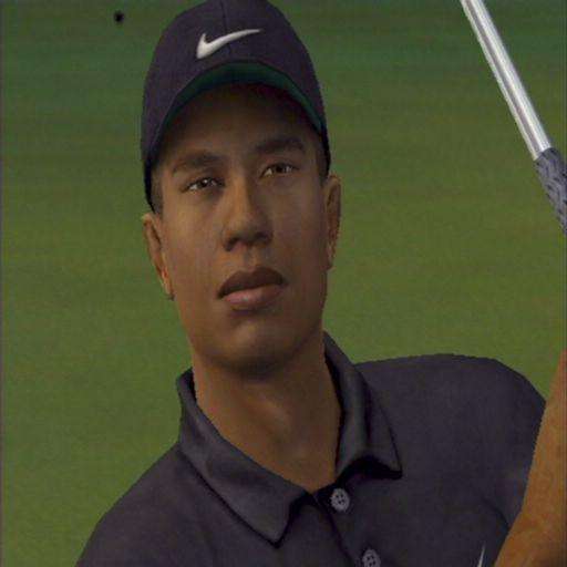 Tiger Woods PGA Tour 2003 (PlayStation 2)