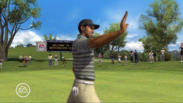 Tiger Woods PGA Tour 2008 (PlayStation 2)