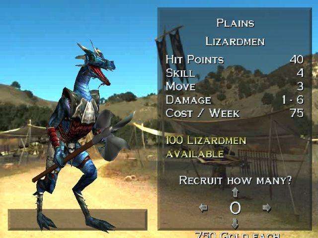 Heroes of Might and Magic: Quest for the DragonBone Staff (PlayStation 2)