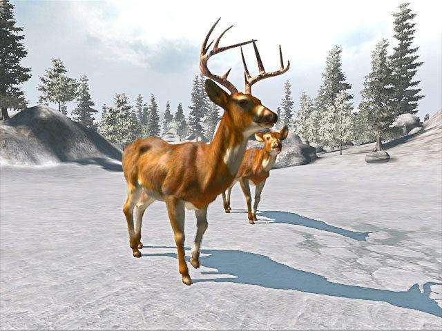 Cabela's Big Game Hunter (PlayStation 2)