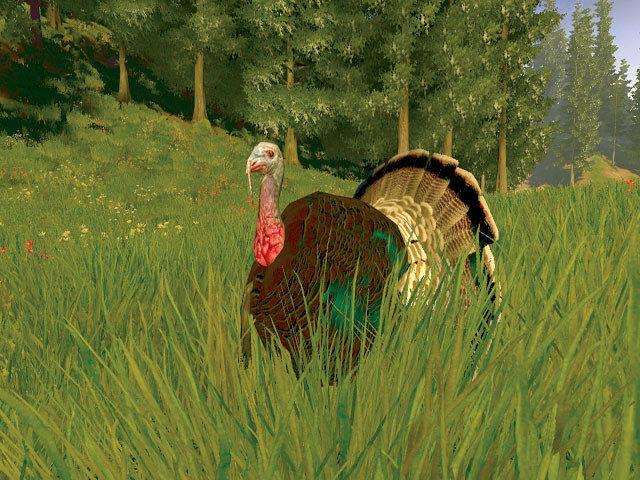 Cabela's Big Game Hunter (PlayStation 2)