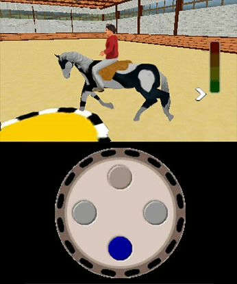 Riding Star (Nintendo DS)