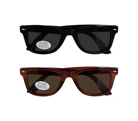 SUNGLASS POL/UNISEX CLASSIC WAYFARER