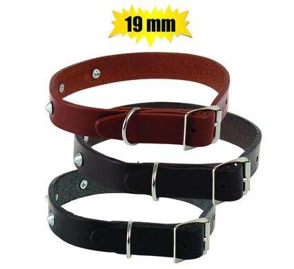 Pet dog-collar leather rivetted 19mm