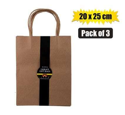 Gift-bag craft ppr 3 pack lrg 20x25.5cm