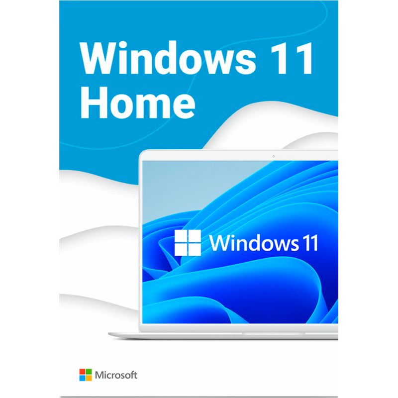 Windows 11
