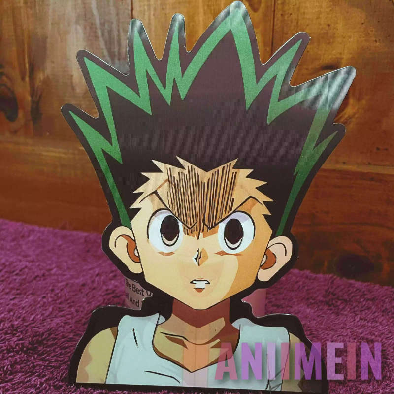 HUNTER X HUNTER (Style-3)