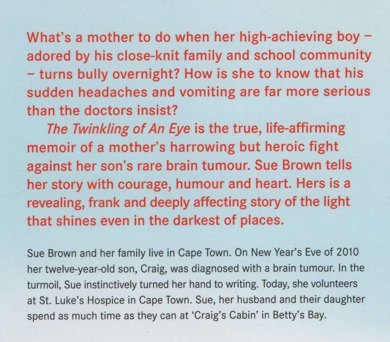 The Twinkling of an Eye: A Mother's Journey - Brown, Sue