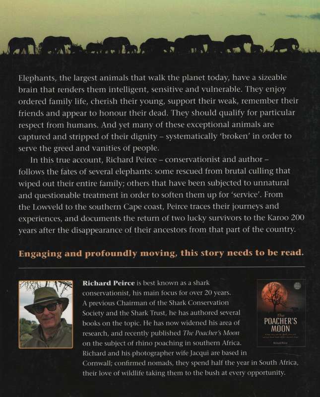 Giant Steps: A True story from Africa about exploitation and the tru - Peirce, Richard