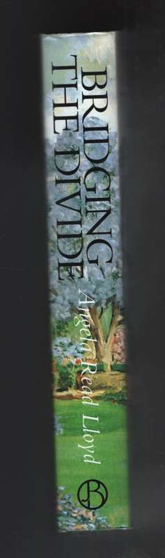 Bridging the Divide: The Story of a Boer-British Family - Lloyd, Angela Read