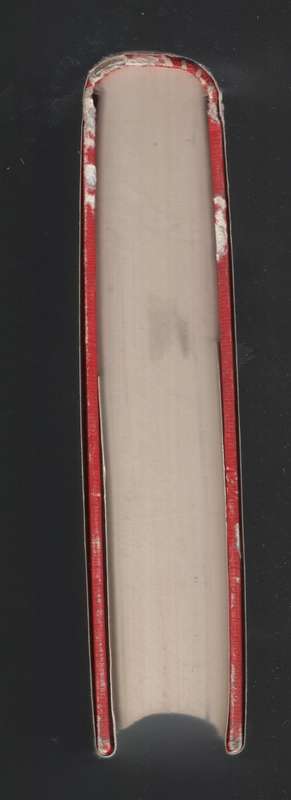 A Nobody in Mashonaland, or The Trials and Adventures of a Tenderfoo - Finlason, C. E.