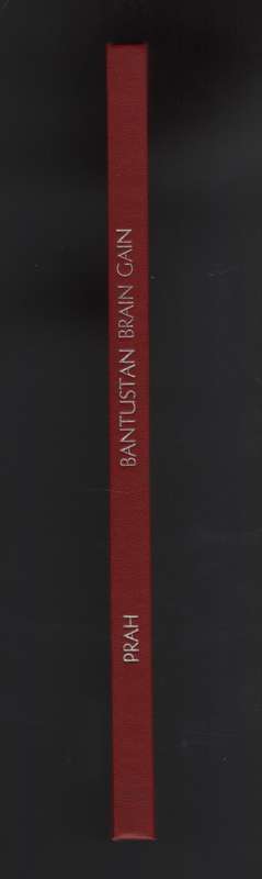 The Bantustan Brain Drain: A Study into the Nature and Causes of Bra - Prah, Kwesi K.