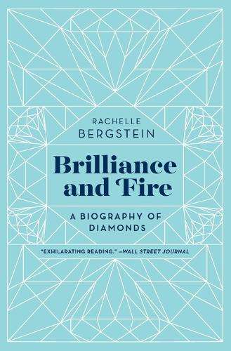 Brilliance and Fire - Rachelle Bergstein