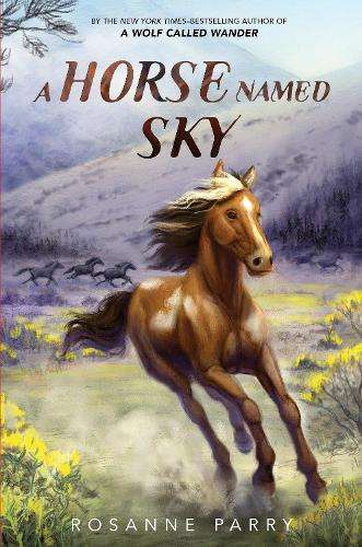 \Horse Named Sky - N"