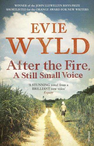 After the Fire A Still Small Voice - Evie Wyld