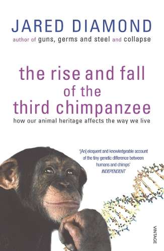 RISE & FALL OF THE THIRD CHIMPANZEE SECONDHAND - DIAMOND,J