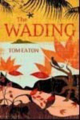 Wading - Tom Eaton