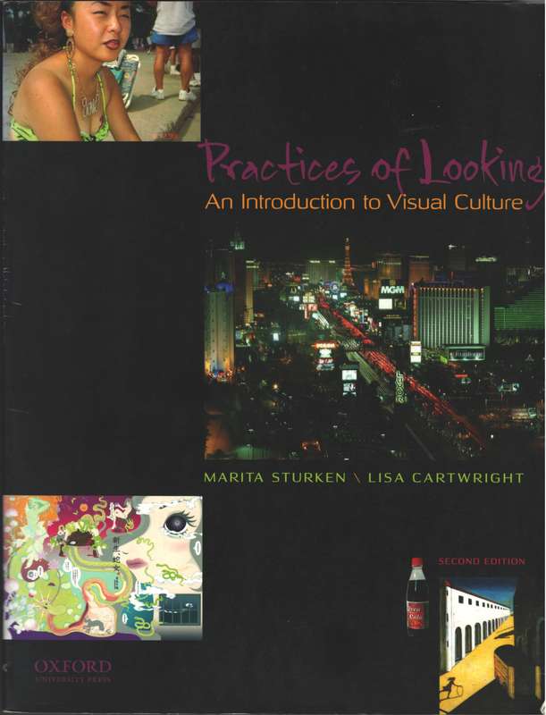 Practices of Looking - Marita Sturken