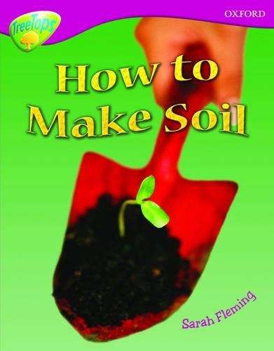 Oxford Reading Tree: Level 10: Treetops Non-Fiction: How to make soi - Sarah Fleming