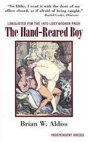 The Hand-Reared Boy - Brian W. Aldiss