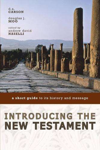 Introducing the New Testament - Andrew David Naselli