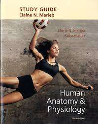 Study Guide for Human Anatomy & Physiology - Elaine N. Marieb