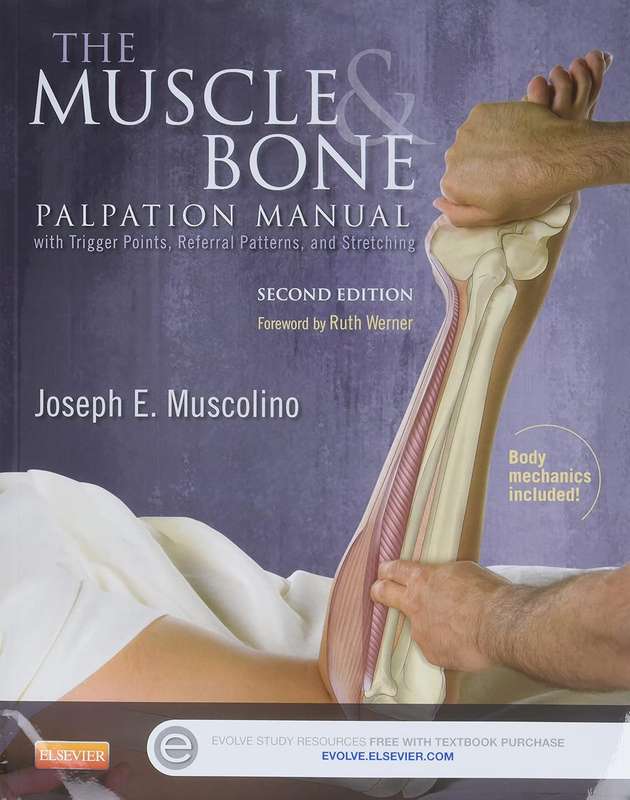 The Muscle and Bone Palpation Manual with Trigger Points Referral Pa - Joseph E. Muscolino