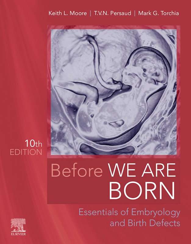 BEFORE WE ARE BORN 10ED - MOORE