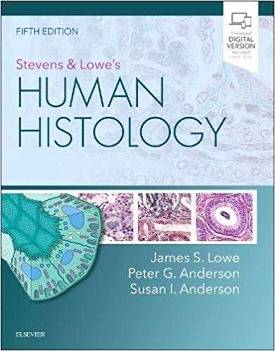 STEVENS & LOWES HUMAN HISTOLOGY 5TH ED - LOWE