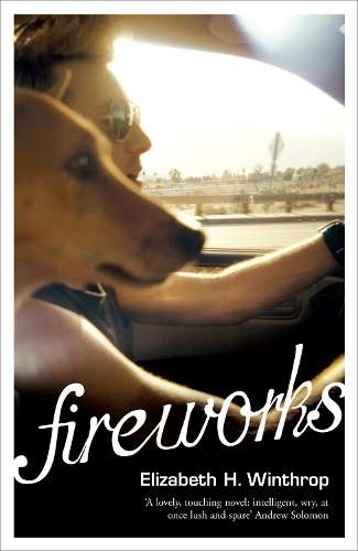 Fireworks - Elizabeth H. Winthrop