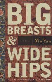 BIG BREASTS & WIDE HIPS SECONDHAND - YAN,M