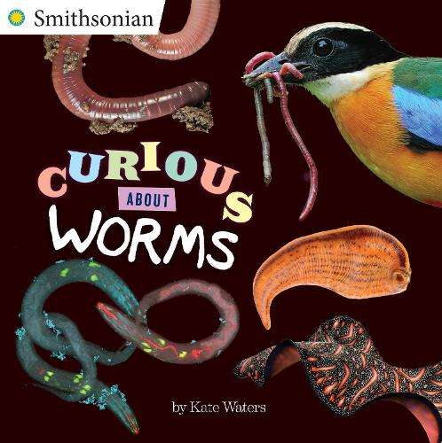 Curious About Worms - Kate Waters