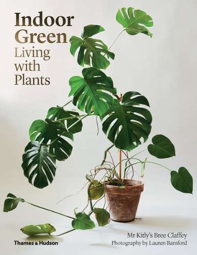 Indoor Green - Bree Claffey