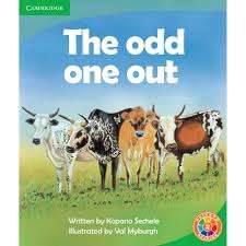 The Odd One Out - Kopano Sechele