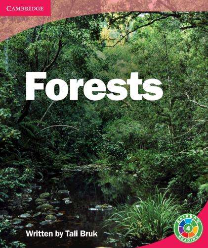 Rainbow Reading Life and Living: Forests: Life and Living - Tali Bruk