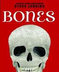Bones: Skeletons and How They Work - Steve Jenkins