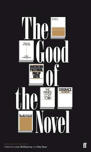 The Good of the Novel - Liam McIlvanney