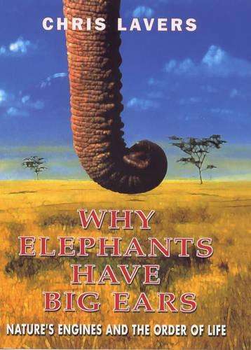 WHY ELEPHANTS HAVE BIG EARS SECONDHAND - LAVERS,C