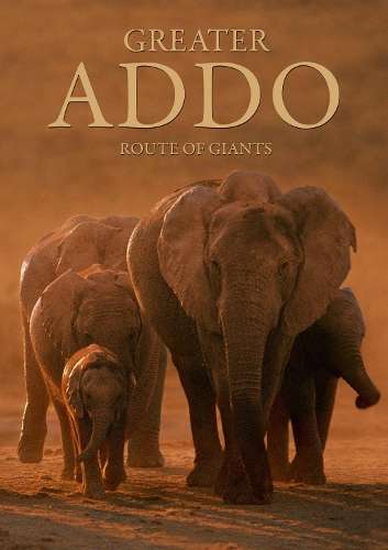 Greater Addo - Heinrich Van den Berg