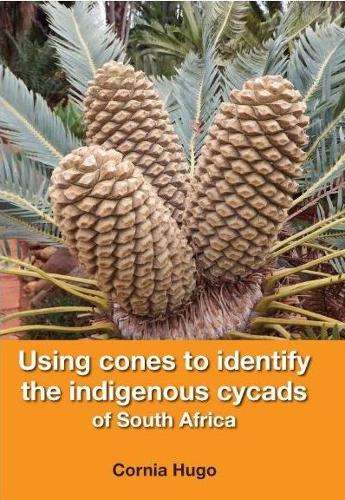 USING CONES TO IDENTIFY THE INDIGENOUS - HUGO,C
