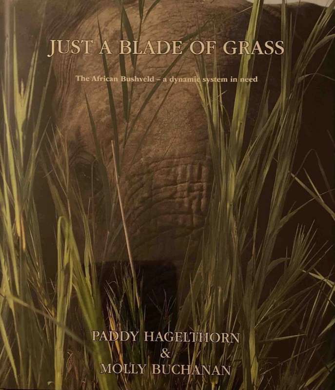 JUST A BLADE OF GRASS AFRICAN BUSHVELD - HAGELTHORN,P