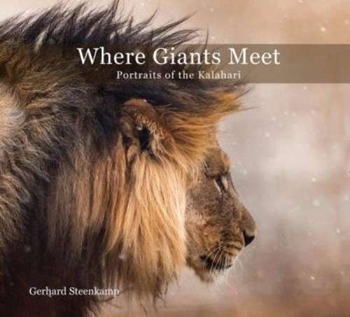 Where giants meet - STEENKAMP,G