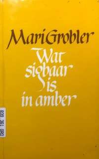 Wat Sigbaar is in Amber - GROBLER,M