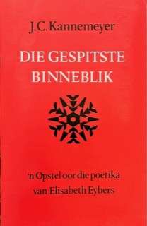 GESPITSTE BINNEBLIK - KANNEMEYER,J