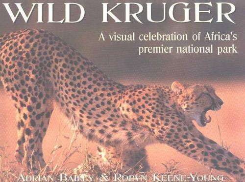 Wild Kruger Park - BAILEY