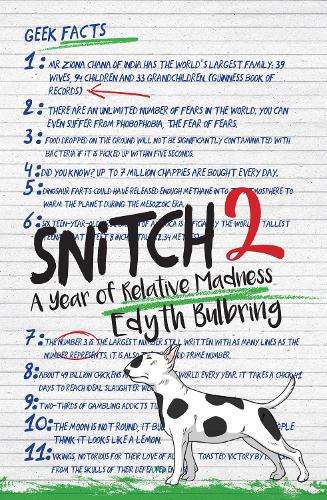 Snitch 2: A year of relative madness - Edyth Bulbring